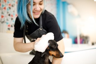 mulher ensaboando cachorro