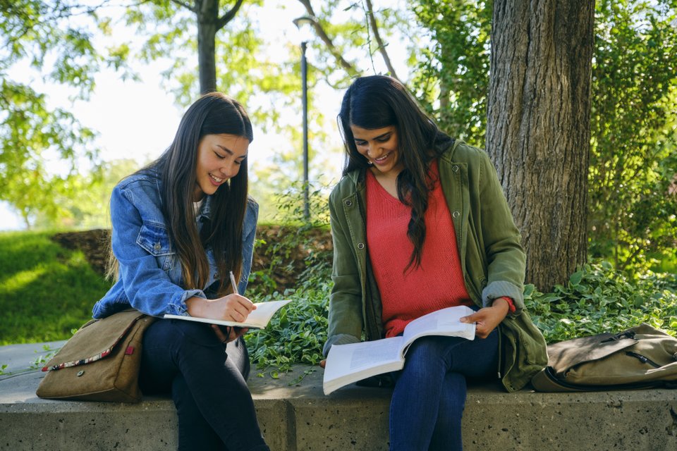duas mulheres sentadas próxima a uma árvore com livros abertos nas mãos