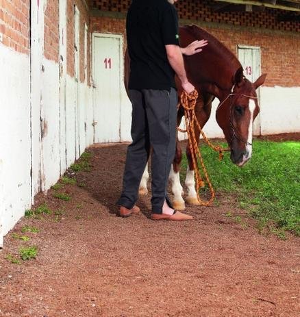 homem com bombacha ao lado de um cavalo