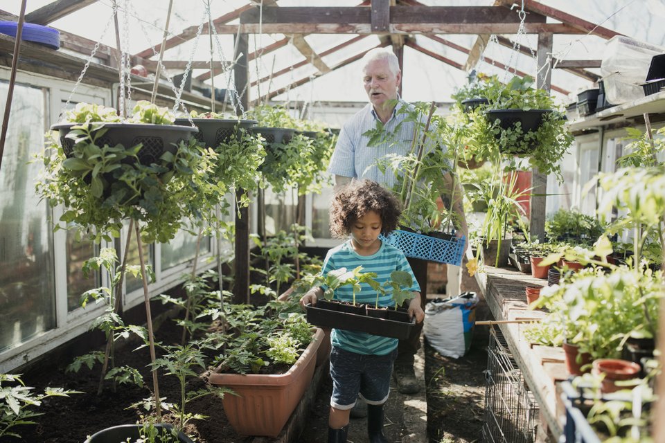 adulto e criança em uma horta com vasos de plantas nas mãos