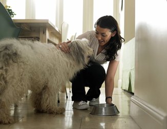mulher agachada segurando uma tijela de comida pra cachorro e fazendo carinho no cachorro com a outra mão