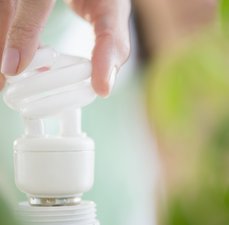 Lâmpada Mata Mosquito: conheça