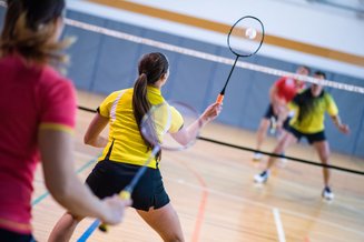 Rede de peteca e badminton