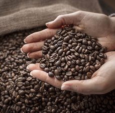 Mitos e  verdades sobre a cafeína
