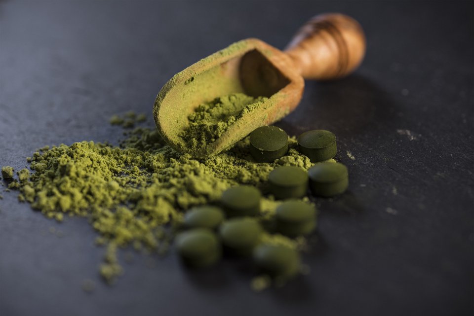 Spirulina quando tomar? Blog da Lu Magazine Luiza