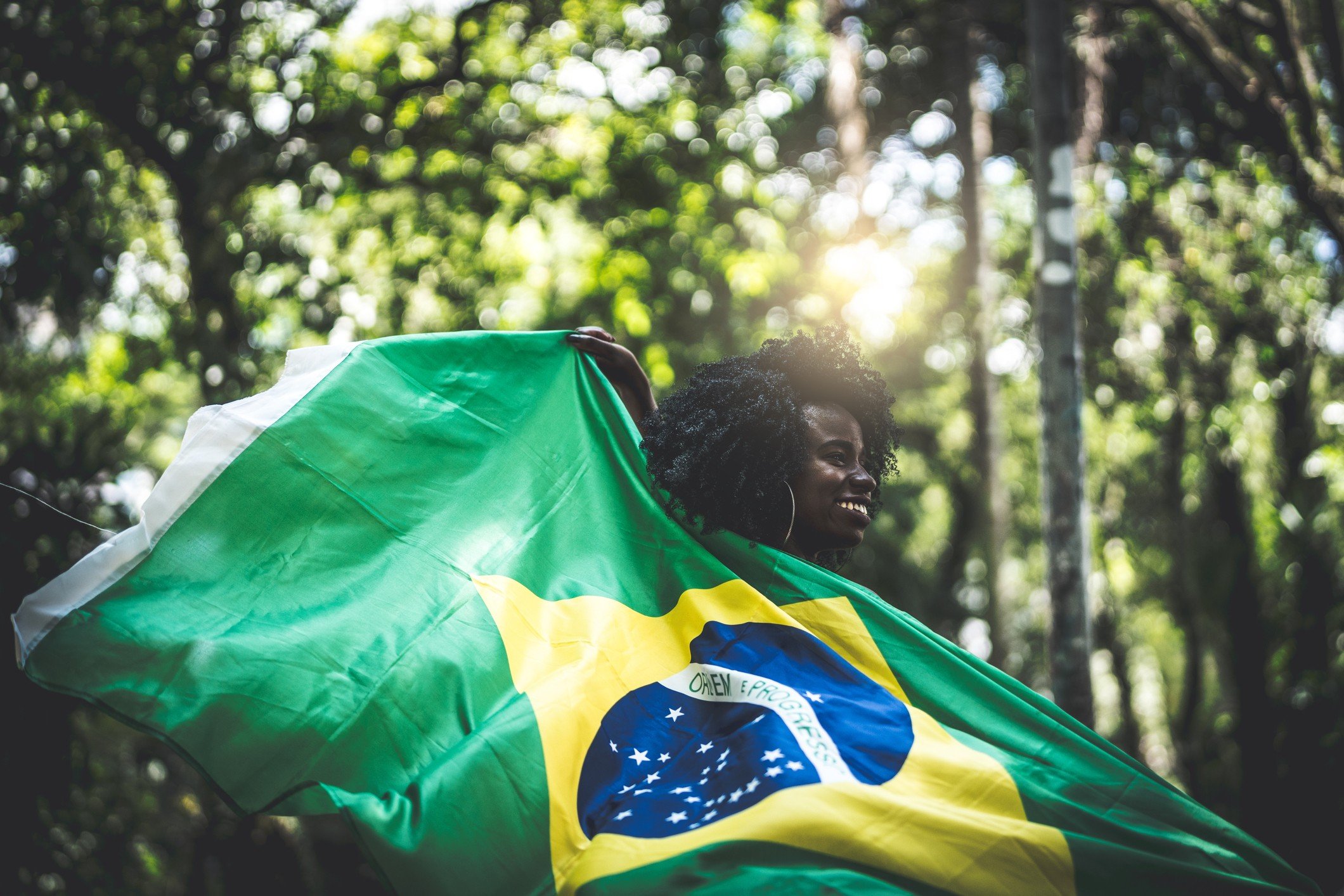 Você conhece a bandeira do Brasil?