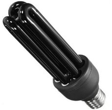 Luz negra: o que é e como funciona?