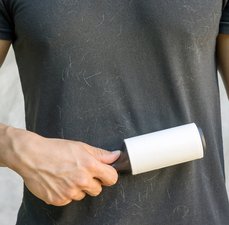 Dicas pra tirar pelos de gato da roupa