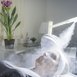 Conheça o  vaporizador facial