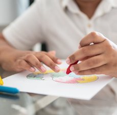 Brincar e aprender com Giz de Cera