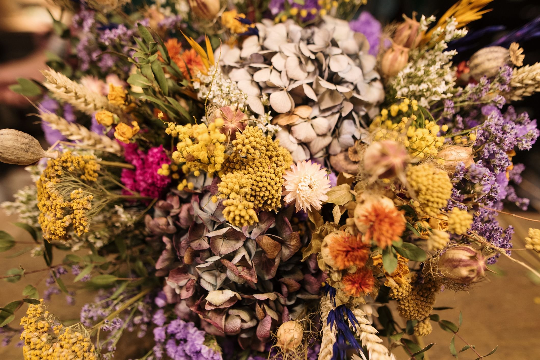 Incrível textura dos espinhos, flores e folhas desta planta