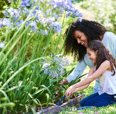 A importância da poda e manutenção de jardim