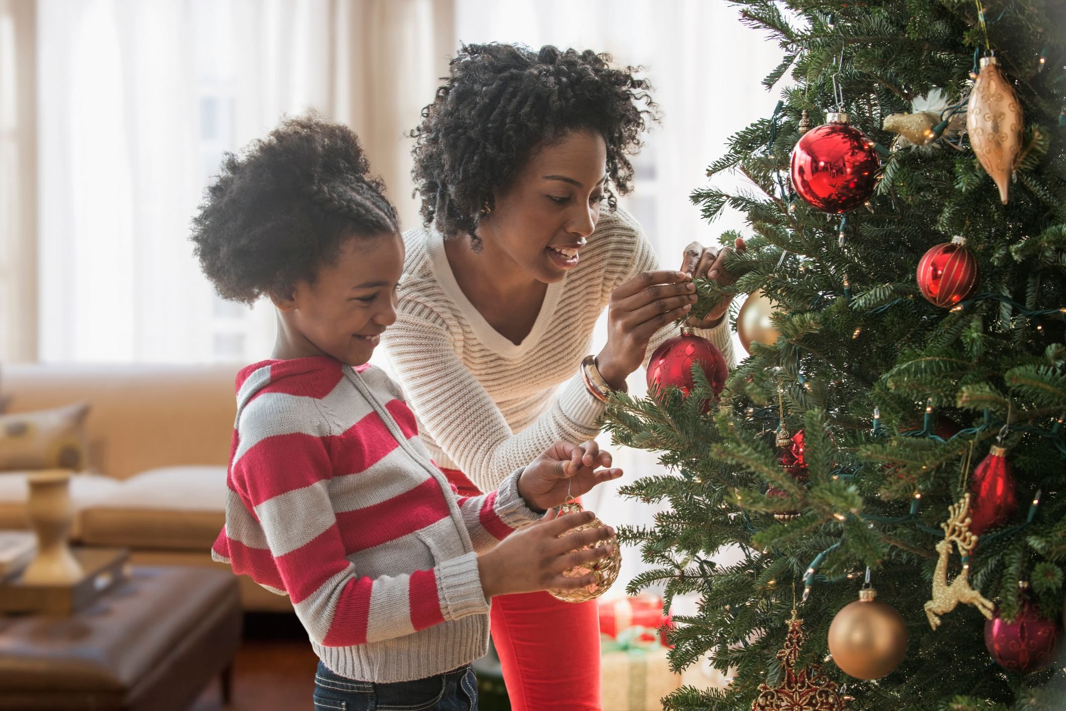 NATAL 2023: qual o dia certo para montar a árvore de Natal? – Amados Cookies