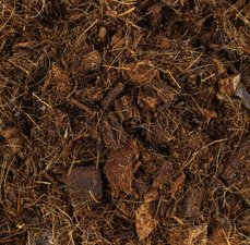 Benefícios do substrato pra plantas