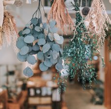 Conheça as Flores Desidratadas