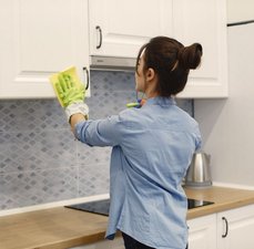 Traça de armário de cozinha: como identificar e eliminar
