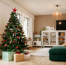 5 tipos de árvores de Natal naturais e artificiais: Qual escolher?