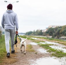 Quais são os melhores moletons?