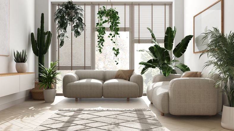 sala com dois sofas organicos e plantas de decora&ccedil;&atilde;o